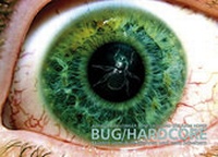 Enlarge image Cover: Bug/Hardcore - éditions foulland