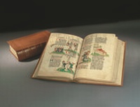 Enlarge image Cover: Die Vorauer Volksbibel - Akademische Druck- und Verlagsanstalt