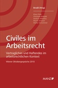 Cover: Civiles im Arbeitsrecht - Manz