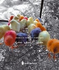 Cover: Transfer Projekt Damaskus - Springer