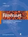 Cover: Filoviruses - Springer