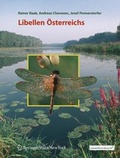 Cover: Libellen &Ouml;sterreichs - Springer
