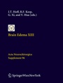 Cover: Brain Edema XIII - Springer