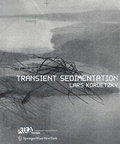 Cover: Transient Sedimentation - Springer