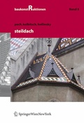 Cover: Steildach - Springer