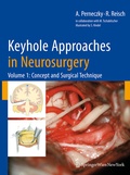 Cover: Keyhole Approaches in Neurosurgery - Springer