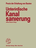 Cover: Unterirdische Kanalsanierung - Springer