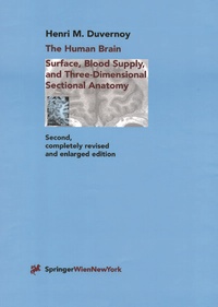 Bild: The Human Brain - Springer