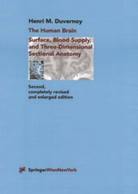 Enlarge image Cover: The Human Brain - Springer