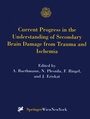 Cover: Current Progress in the Understanding of Secondary Brain Damage from Trauma and Ischemia - Springer