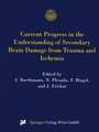 Cover: Current Progress in the Understanding of Secondary Brain Damage from Trauma and Ischemia - Springer