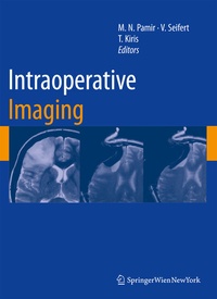 Enlarge image Cover: Intraoperative Imaging - Springer