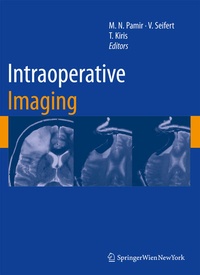 Enlarge image Cover: Intraoperative Imaging - Springer