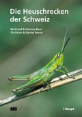 Cover: Die Heuschrecken der Schweiz - Haupt Verlag