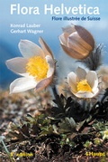 Cover: Flora Helvetica - Haupt Verlag
