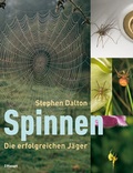 Cover: Spinnen - Haupt Verlag