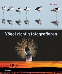 Abbildung von: Vögel richtig fotografieren - Haupt Verlag