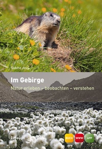Abbildung von: Im Gebirge - Haupt Verlag