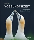 Cover: Vogelhochzeit - Haupt Verlag