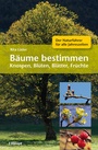 Bild: Bäume bestimmen - Knospen, Blüten, Blätter, Früchte - Haupt Verlag