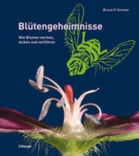 Abbildung von: Blütengeheimnisse - Haupt Verlag