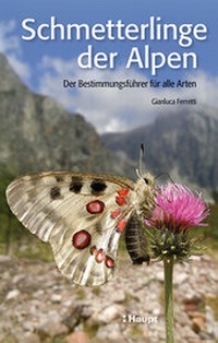 Abbildung von: Schmetterlinge der Alpen - Haupt Verlag