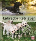 Cover: Labrador Retriever - M&uuml;ller R&uuml;schlikon