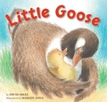 Cover: Little Goose - Tricycle Press