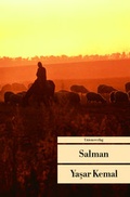 Cover: Salman - Unionsverlag