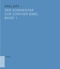 Cover: bibel(plus) - erkl&auml;rt - Theologischer Verlag Z&uuml;rich