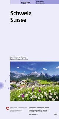 Abbildung von: Generalkarte der Schweiz 1:300 000 - swisstopo