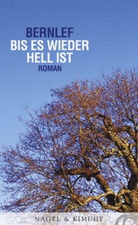 Enlarge image Cover: Bis es wieder hell ist - Nagel & Kimche