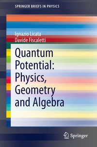 Enlarge image Cover: Quantum Potential: Physics, Geometry and Algebra - Springer