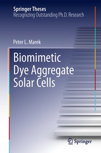 Abbildung von: Biomimetic Dye Aggregate Solar Cells - Springer