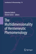 Cover: The Multidimensionality of Hermeneutic Phenomenology - Springer