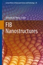 Cover: FIB Nanostructures - Springer