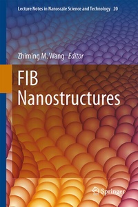 Enlarge image Cover: FIB Nanostructures - Springer