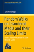 Bild: Random Walks on Disordered Media and their Scaling Limits - Springer