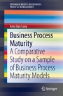 Bild: Business Process Maturity - Springer