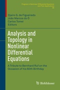 Cover: Analysis and Topology in Nonlinear Differential Equations - Birkh&auml;user