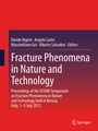 Cover: Fracture Phenomena in Nature and Technology - Springer