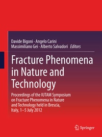 Enlarge image Cover: Fracture Phenomena in Nature and Technology - Springer