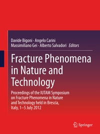 Enlarge image Cover: Fracture Phenomena in Nature and Technology - Springer