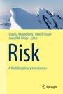 Cover: Risk - A Multidisciplinary Introduction - Springer