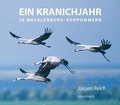 Cover: Ein Kranichjahr in Mecklenburg-Vorpommern - Hinstorff
