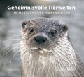 Cover: Geheimnisvolle Tierwelten in Mecklenburg-Vorpommern - Hinstorff