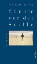 Cover: Sturm vor der Stille - Aufbau