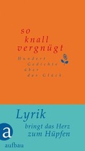 Cover: So knallvergn&uuml;gt - Aufbau