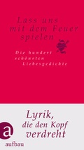 Cover: Lass uns mit dem Feuer spielen - Aufbau
