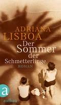 Cover: Der Sommer der Schmetterlinge - Aufbau